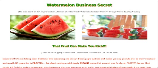agriculture watermelon website | web design firm oyo-lagos